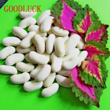 White kidney beans, 180~200pcs/100g