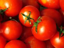  Tomato  &  Cherry   tomato 