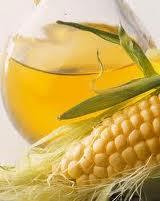 Refined  corn   cooking   oil 