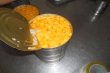 425g*24tins,850g*12tins,3000g*6tins  Canned   Peach   Dice 