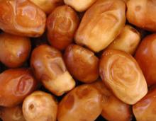 Zahedi Date