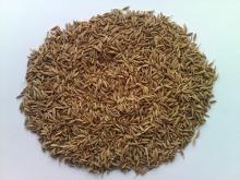 CUMIN 97% Purity