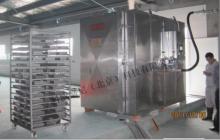 500kg per hour quick frost LN freezer