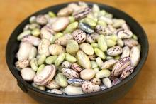 White Kidney Beans, Black Kidney Beans , Sparkle kidney beans, red Kidney beans