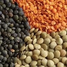 Lentils, Chickpeas, Green Peas