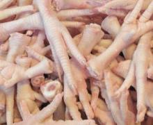 Frozen chicken feet, pig feet & turkey feet