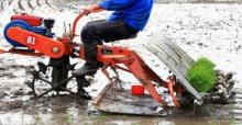 Rice paddy planting or transplanter machine