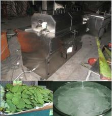 automatic nopal peeler machine automatic nopal / aloe vera peeler machine