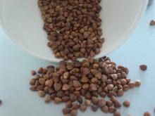  Roasted   Buckwheat ,  Buckwheat   Kernel s Top Quality