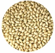 Blanched Peanut Kernels