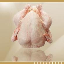 Frozen Halal Whole Chicken