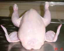 Whole Frozen Halal Chicken