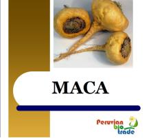 Peruvian Maca Powder