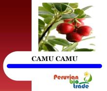Peruvian Camu Camu Extract