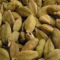 Cardamom Spices