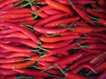 Red Chili Pepper