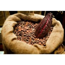 cocoa powder