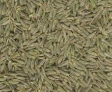 Cumin seeds