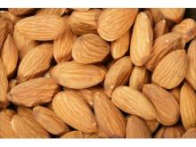 Almond Nuts For Sale