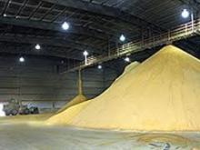 Organic Animal Feed