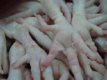 Quality Frozen Poultry Chicken Feet