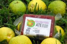 Guava ATE/Paste made from guava pulp, sweet soft candy 100% natural