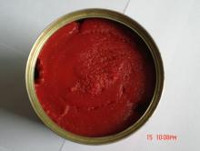 tomato paste