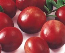 IQF  cranberry  or  frozen   cranberry 