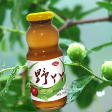 natural jujube non alcoholic beverage soft drink