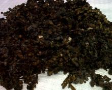  Dried   Sargassum 
