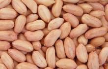 Natural fresh Peanut