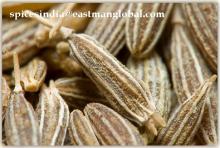 CUMIN