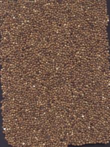 roasted  buckwheat   kernel s