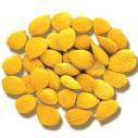 Bitter Apricot Kernels (almond)