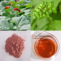 Panax Ginseng Berry Extract
