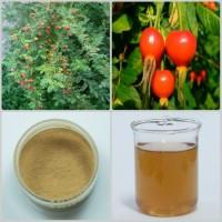 Rose hip Extract