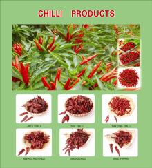 Whole dried red chili