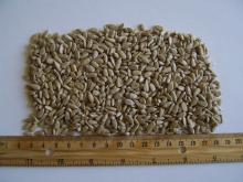 Hulled Sunflower kernels - Bakery grade Standard