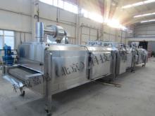 Vegetable IQF Tunnel freezer