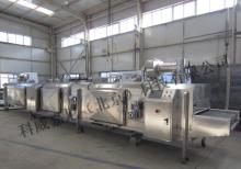Iqf seafood freezer