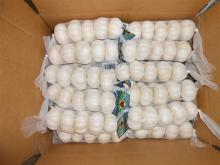 Best new garlic