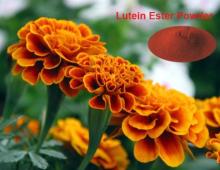 Lutein Ester 10% TAB Ester Beadlet