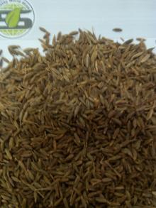Cumin Seeds