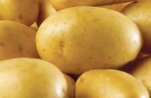 Fresh potatoes from South Africa
