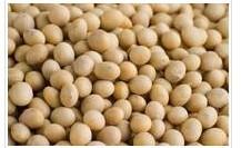good quality soyabean powder manufacturer