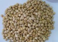 Chickpeas