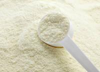 Premium Quality Skimmed Milk Powder