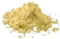Butter Milk Powder
