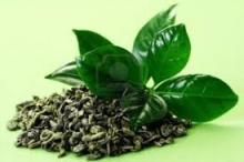 Green Herbal Tea