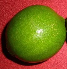 FRESH LIMES